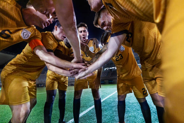 练预计将采 练预计将采